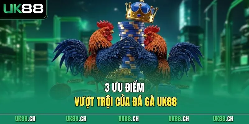 3 ưu điểm vượt trội của đá gà UK88 