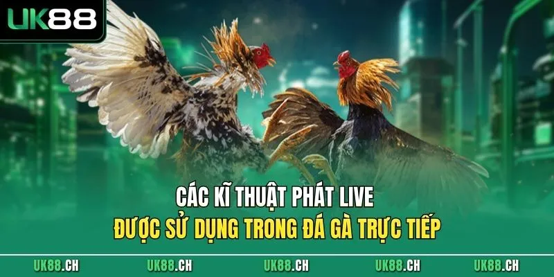 Các kĩ thuật phát live được sử dụng trong đá gà trực tiếp