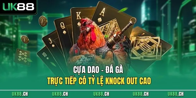 Cựa dao - Đá gà trực tiếp có tỷ lệ knock out cao