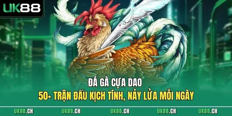 Đá Gà Cựa Dao - 50+ Trận Đấu Kịch Tính, Nảy Lửa Mỗi Ngày