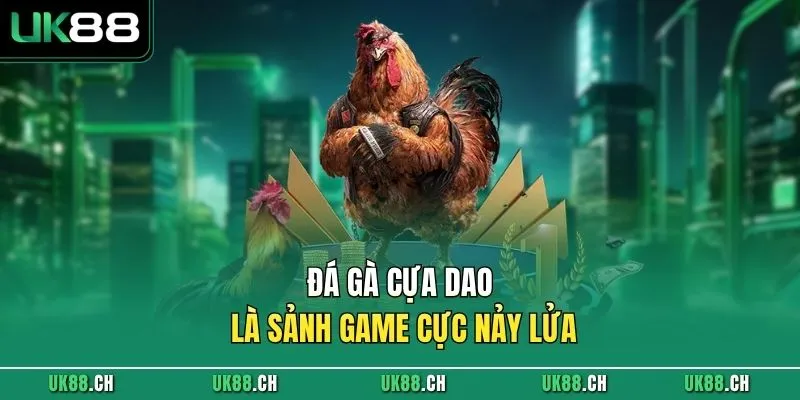 Đá gà cựa dao là sảnh game cực nảy lửa 