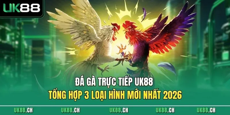 Đá Gà Trực Tiếp UK88 - Tổng Hợp 3 Loại Hình Mới Nhất 2026