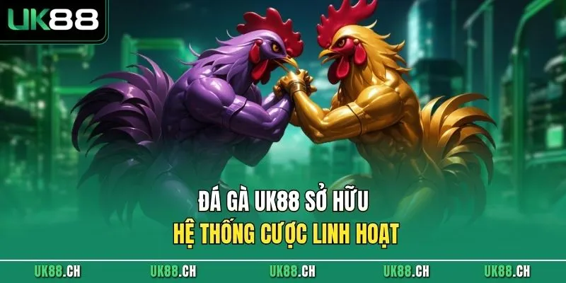 Đá gà UK88 sở hữu hệ thống cược linh hoạt