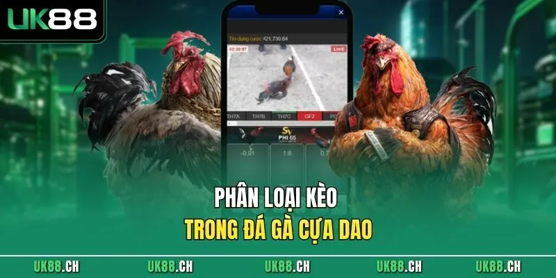 Phân loại kèo trong đá gà cựa dao
