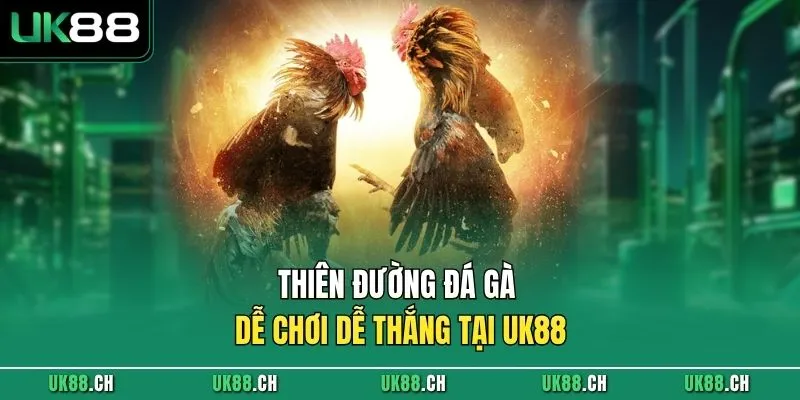 Thiên đường đá gà dễ chơi dễ thắng tại UK88